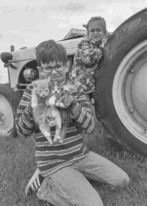 The Benefit of Barn Cats: Your Homestead’s Purrrfect Predator Image
